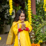 Bulbul Suit - Set of 3